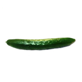 couverture jeu vidéo Cucumber Cutter