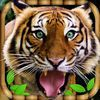 couverture jeu vidéo Dangerous Tiger Simulator