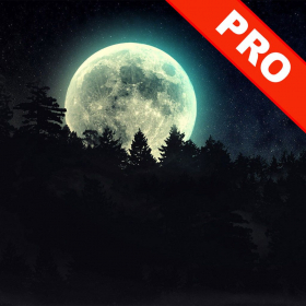 couverture jeu vidéo Dark Jungle Pro