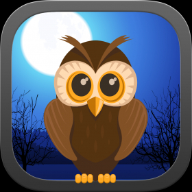 couverture jeu vidéo Dark Night Owl Shooter Game