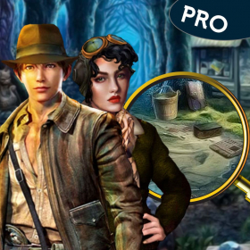 couverture jeu vidéo Dark Side Of The Forest Cleaning Mysteries