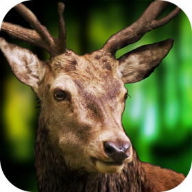 couverture jeu vidéo Deer Hunt African Safari 2015
