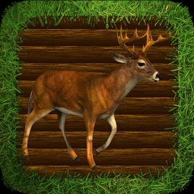 couverture jeu vidéo Deer Hunting Adventure Pro