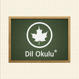 couverture jeu vidéo Dil Okulu: İngilizce Pro