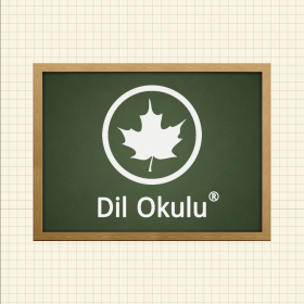couverture jeu vidéo Dil Okulu: İngilizce