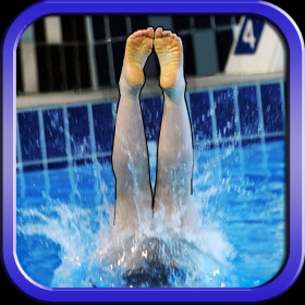 couverture jeu vidéo DiveChamp
