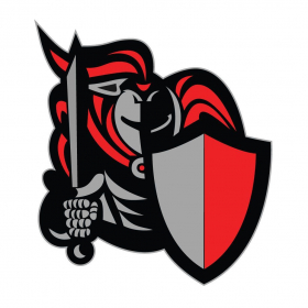 couverture jeu vidéo DMMinion5E