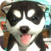 couverture jeu vidéo Dog Sim Puppy Craft