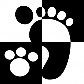couverture jeu vidéo Dont touch the white tile ~ Tap 2 grey tiles in 4 Don’t step on it! Miss a black balls and Land on 1 piano tile! - HD version