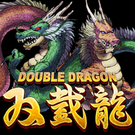 couverture jeu vidéo Double Dragon