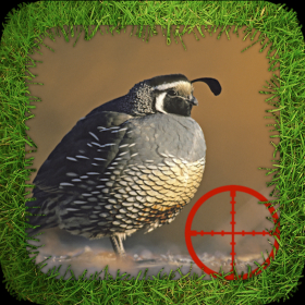 couverture jeu vidéo Dove Hunting Reloaded