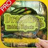 couverture jeu vidéo Dragon War Age - Hidden Objects Pro