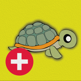 couverture jeu vidéo DriftingTurtlePlus