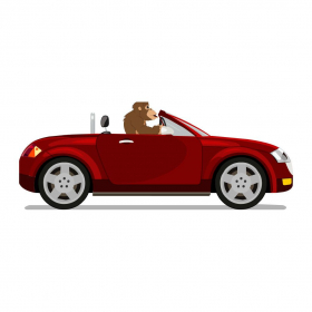 couverture jeu vidéo Drive Chimp Drive