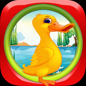couverture jeu vidéo Duck Dash Fall of Gravity Pro
