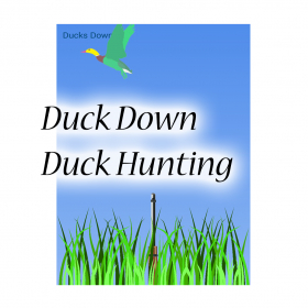 couverture jeu vidéo Duck Down - Duck Hunting
