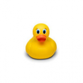 couverture jeu vidéo Duck Duck Goose