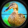 couverture jeu vidéo Duck Hunt Season 2016 Pro - Shotgun Hunter
