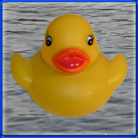 couverture jeu vidéo Duck Invader