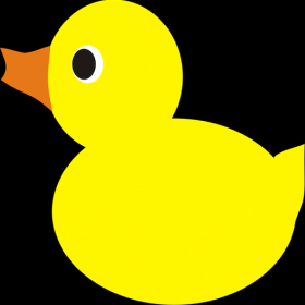 couverture jeu vidéo DuckGo