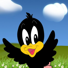 couverture jeu vidéo DuckHunt