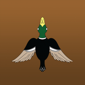 couverture jeu vidéo DuckLaunch
