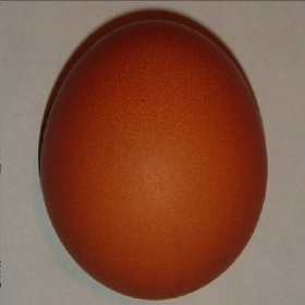 couverture jeu vidéo Egg&amp;Spoon