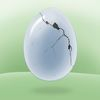 couverture jeu vidéo Egg Tap Crack Quest Game