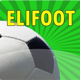 couverture jeu vidéo Elifoot 15