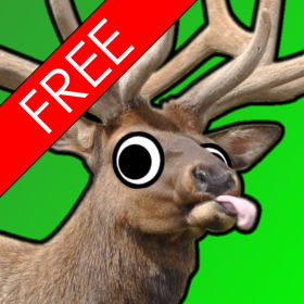couverture jeu vidéo Elk Murder