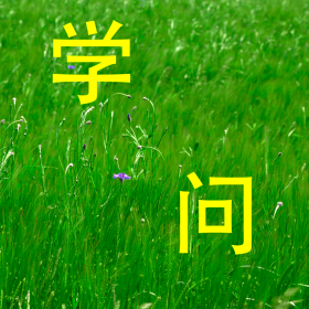 couverture jeu vidéo englishigha