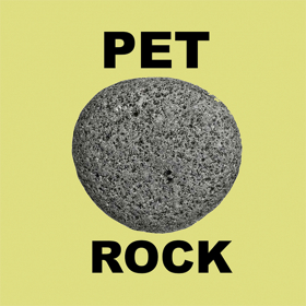 couverture jeu vidéo ePet Rock