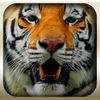 couverture jeux-video Epic Animal Hunter 3D 2016 Pro : Wild Jungle