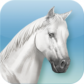 couverture jeu vidéo Equideow