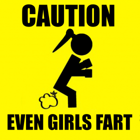 couverture jeu vidéo Even Girls Fart !