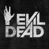 couverture jeu vidéo Evil Dead: Endless Nightmare