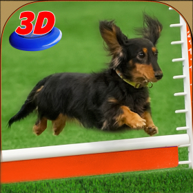 couverture jeu vidéo Exposition de chien simulateur 3D: former chiots et exécuter des cascades étonnantes
