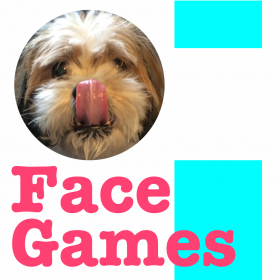 couverture jeu vidéo FaceGames
