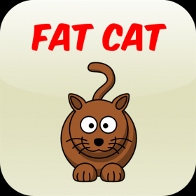 couverture jeu vidéo Fat Cat