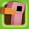couverture jeu vidéo Federal Chickaboo