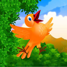 couverture jeu vidéo Feed the bird