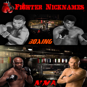 couverture jeu vidéo Fighter Nicknames
