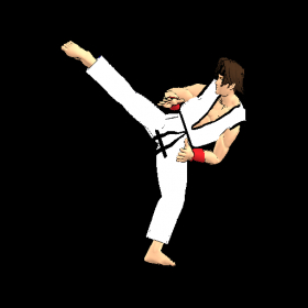 couverture jeu vidéo Final Karate