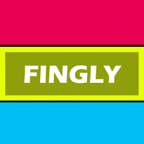 couverture jeu vidéo Fingly