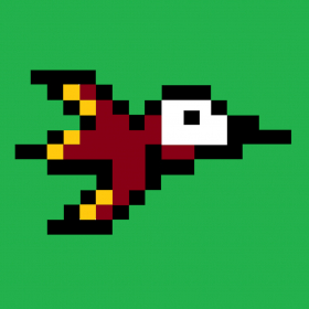 couverture jeu vidéo First Bird