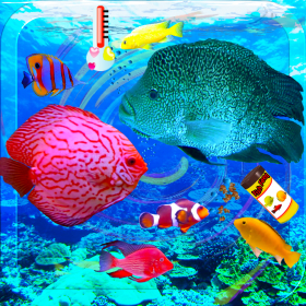 couverture jeu vidéo Fish Simulator! Virtual fish farm game