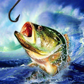 couverture jeux-video Fishing Champion