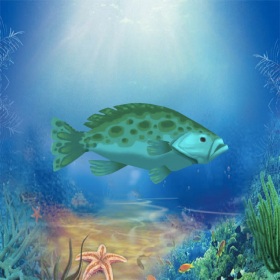 couverture jeu vidéo fishing,cut