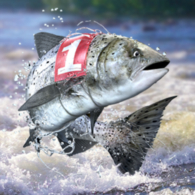 couverture jeu vidéo FishRun