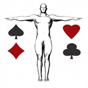 couverture jeu vidéo FitCards